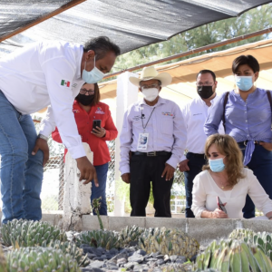 Captura de Pantalla 2021-07-27 a la(s) 8.35.56