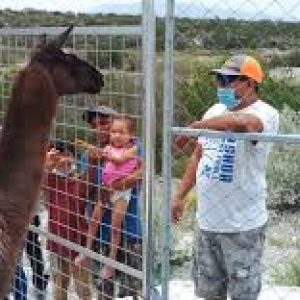 Ecoparque registrará un incremento en el número de visitantes