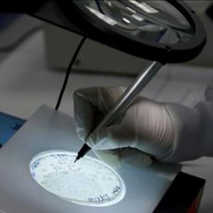 En la Facultad de Ciencias Químicas Obtienen Nanomateriales a partir de Residuos (2) (1)