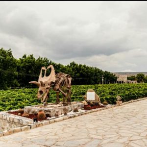 Octavo recorrido del programa “Conoce tu Ciudad”