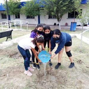 REFORESTAN CEDIF SUR.1