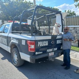 Seguridad Pública brinda apoyo