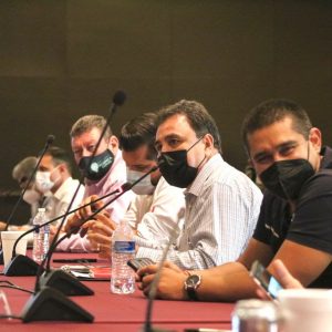 Subcomité Técnico Regional Covid-19 Sureste