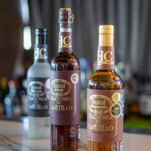 COAHUILA ES REFERENTE EN LA PRODUCCIÓN DE SOTOL1