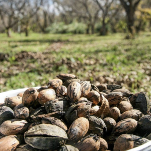 Captura de Pantalla 2021-08-31 a la(s) 9.13.42