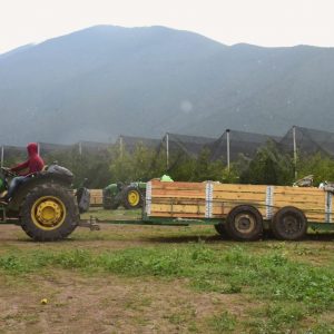 DA SECTUR COAHUILA SEGUIMIENTO A LA RUTA DE LA MANZANA EN ARTEAGA