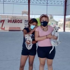 INICIA ETAPA FINAL DE VACUNACIÓN ANTIRRÁBICA EN EJIDOS1.jfifOKOKOKOK
