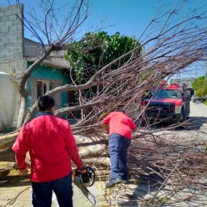 Protección Civil informa saldo blanco después de lluvia