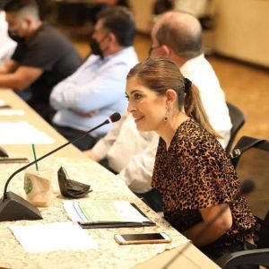 Subcomité Técnico Regional Covid-19 Sureste