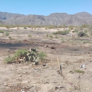 BUSCAN REGULAR A PRODUCTORES DE CARBÓN DEL MUNICIPIO.jfifOKOKOKOK