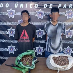 Dan resultados operativos de prevención y vigilancia