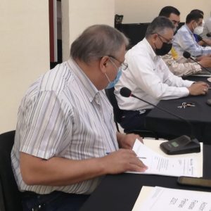 EN REUNIÓN DE CONSEJO APRUEBAN PLAN DE ACCIÓN FIESTAS PATRIAS 20211