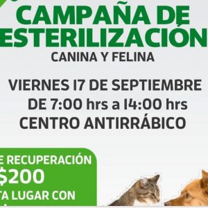 NUEVA CAMPAÑA DE ESTERILIZACION CANINA Y FELINA.jfifOKOKOK