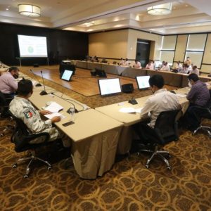 Subcomité Técnico Regional Covid-19 Sureste