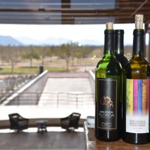 VINOS COAHUILENSES COMPITEN CON LOS MEJORES DEL MUNDO AL INGRESAR AL MERCADO DE EU1