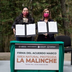 ACUERDAN ACCIONES PARA PROTEGER LA RIQUEZA NATURAL DEL ESTADO