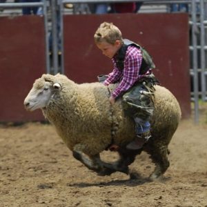 Distintas actividades es lo que hace más atractiva la tercera edición de Monclova de Roll1