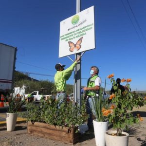 Mantiene Saltillo acciones para proteger a la mariposa monarca1