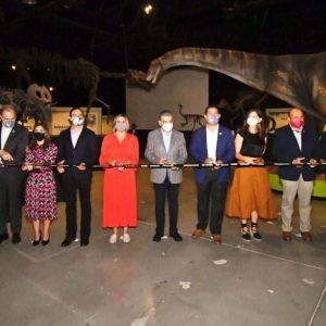 Presente Vinos y Dinos en el Festival Internacional Cervantino1