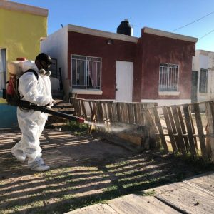 Salud Municipal redobla acciones de sanitización y fumigación1