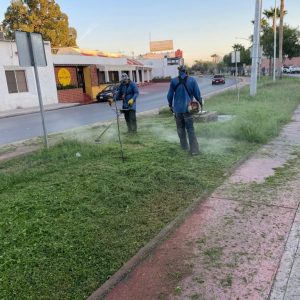 Servicios Públicos realiza trabajos de deshierbe y podas1