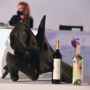 COAHUILA LISTO PARA EL TIANGUIS TURÍSTICO 2021 EN YUCATÁN