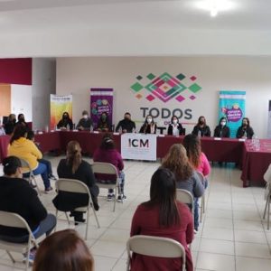 COMITÉ COMUNITARIO PARA LA PREVENCIÓN DEL EMBARAZO EN ADOLESCENTES1