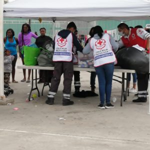 CUMPLEN EL COMETIDO DEL MANEJO DEL TEMA MIGRATORIO