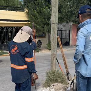 Captura de Pantalla 2021-11-06 a la(s) 9.45.38