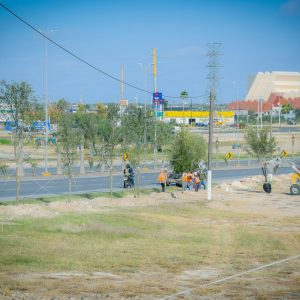 Comienza la reforestación del Bulevar Manuel Pérez Treviño