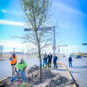 Reforestan Bulevar Pérez Treviño y Av. Industrial con 214 árboles1