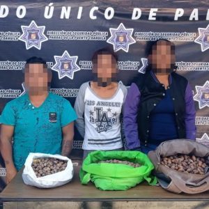 Seguridad Pública Municipal Informa