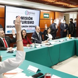 Sesión de la Comisión de Turismo