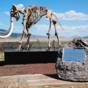 Se consolidó el turismo de Saltillo con la ruta Vinos y Dinos