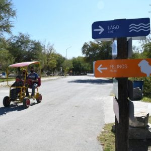 TRABAJAN EN LA REHABILITACIÓN Y MANTENIMIENTO DEL ECOPARQUE