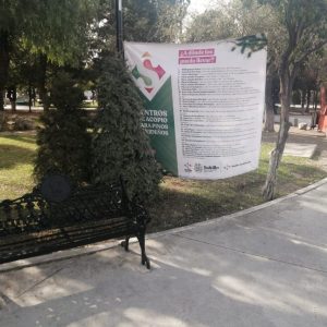 Concluye programa de recolección de pinos navideños